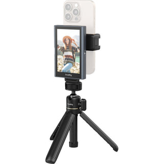 Monitoare video