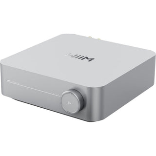 Amplificatoare stereo WiiM